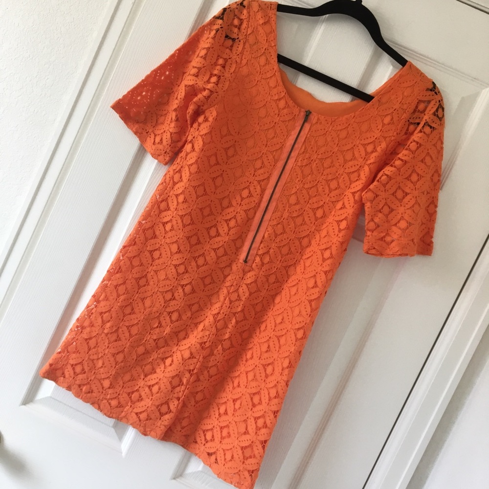 Orange Crochet Mini Dress - Picture 8 of 8
